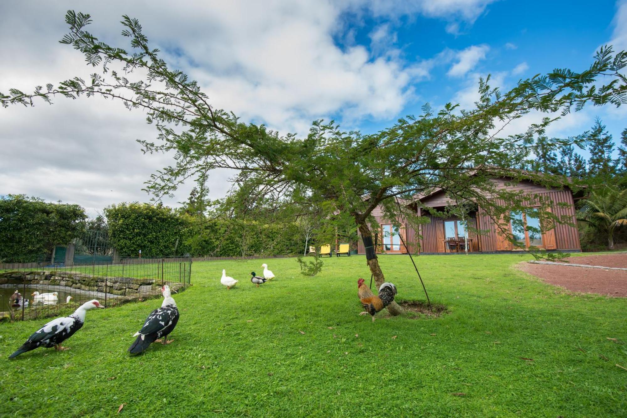 Quinta Dos Curubas Villa Vila Franca do Campo Exterior foto
