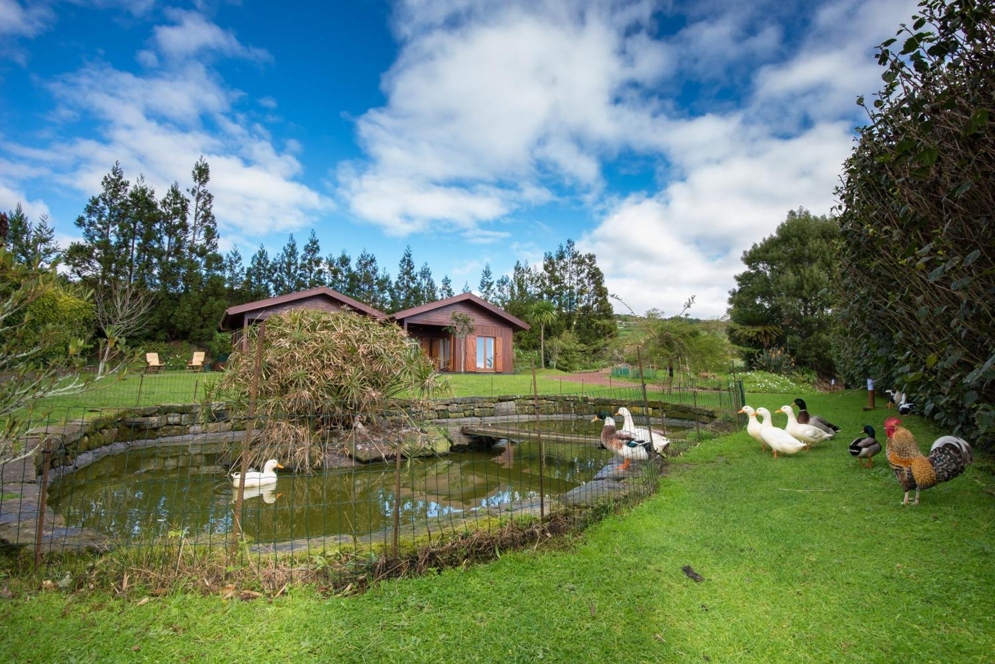 Quinta Dos Curubas Villa Vila Franca do Campo Exterior foto